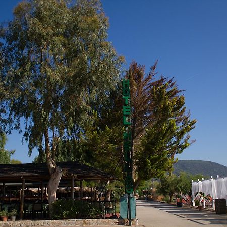Hotel Hellas Epidaurus Exterior foto